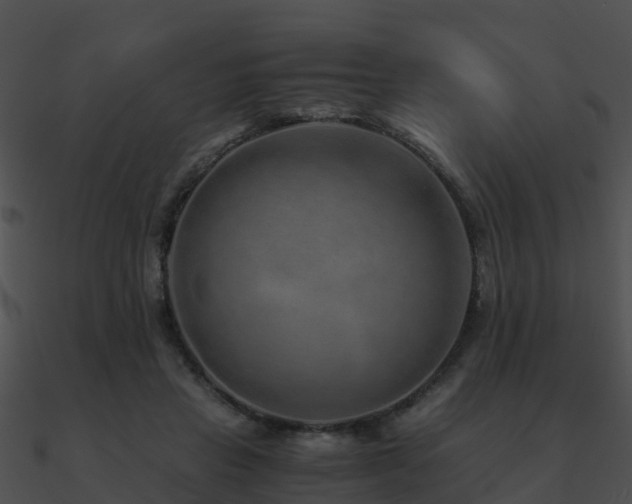 X0000090990453200708021526