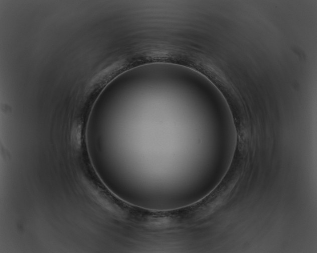 X0000090990454200708021526