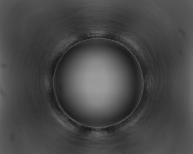 X0000090990455200708021526