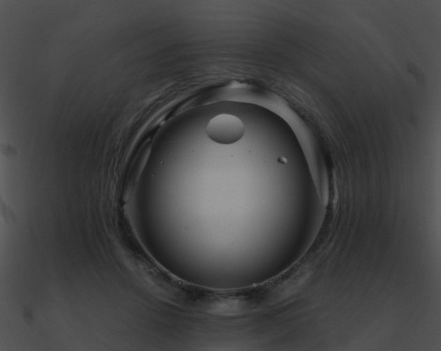 X0000090990456200708021526
