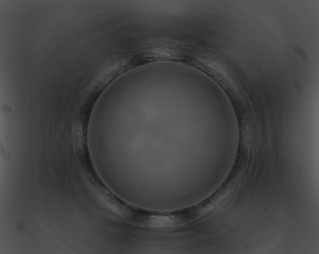 X0000090990457200708021526