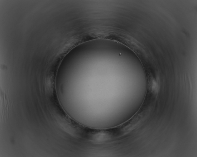 X0000090990460200708021526