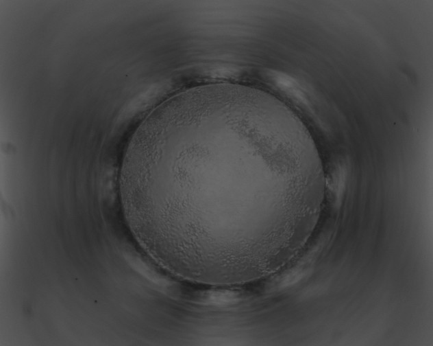 X0000090990462200708021526
