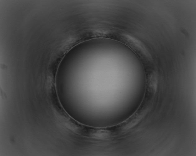X0000090990463200708021526