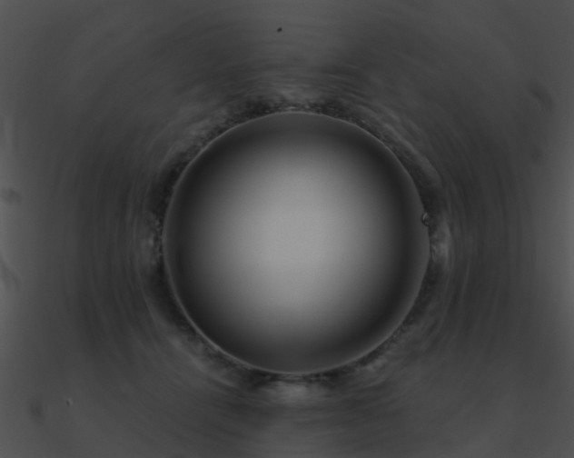 X0000090990464200708021526