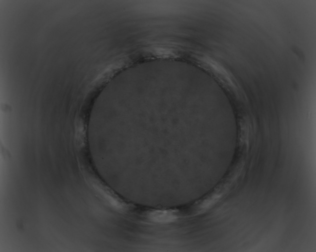 X0000090990465200708021526