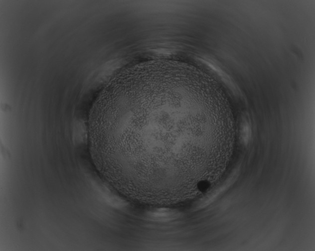 X0000090990467200708021526