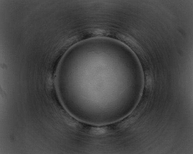 X0000090990469200708021526
