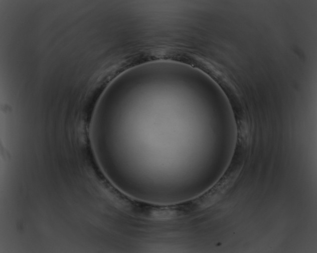 X0000090990470200708021526