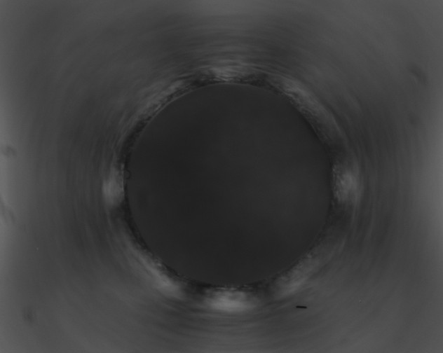 X0000090990471200708021526