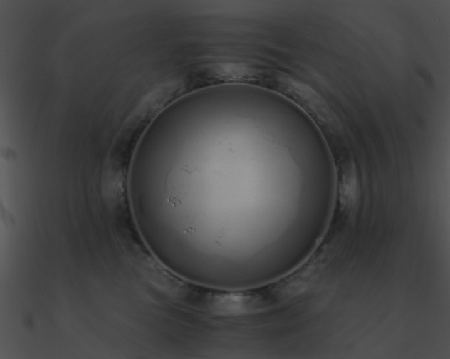 X0000090990473200708021526