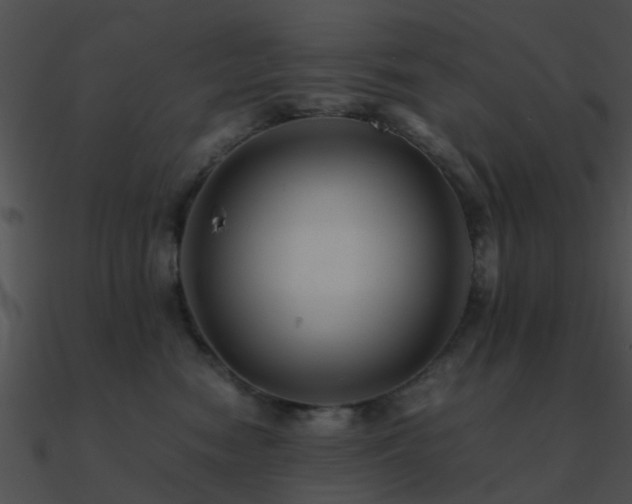 X0000090990474200708021526