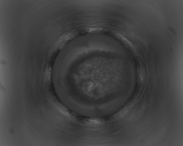 X0000090990475200708021526