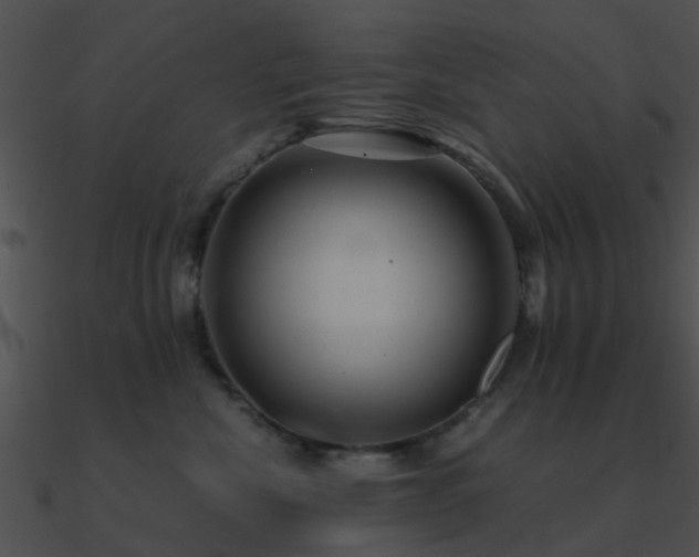 X0000090990476200708021526