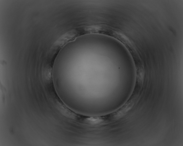 X0000090990477200708021526