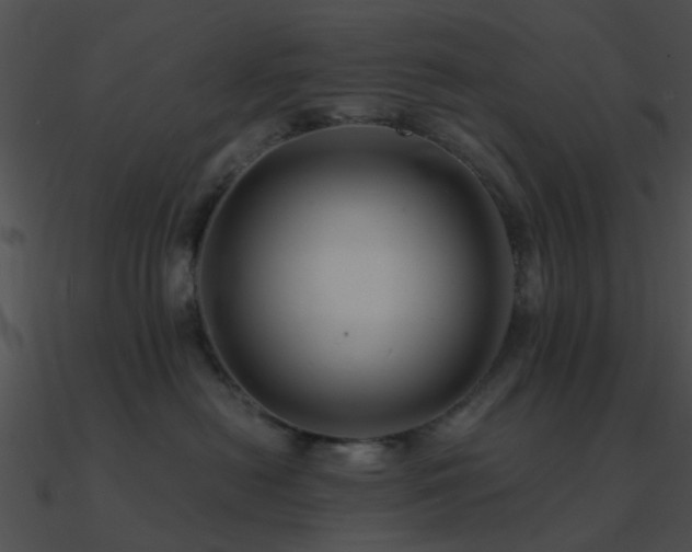 X0000090990478200708021526