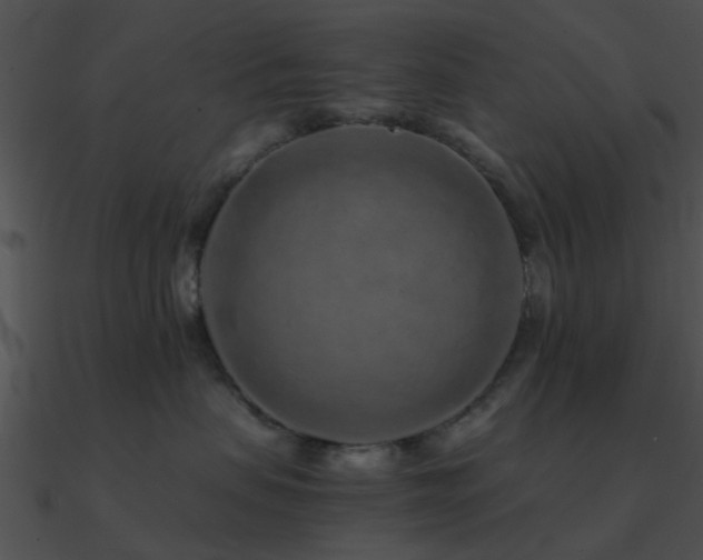 X0000090990479200708021526