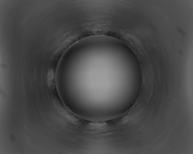 X0000090990480200708021526