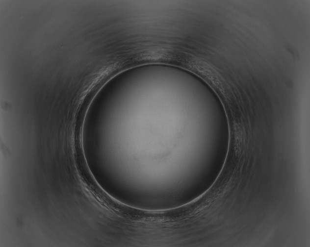 X0000090990482200708021526