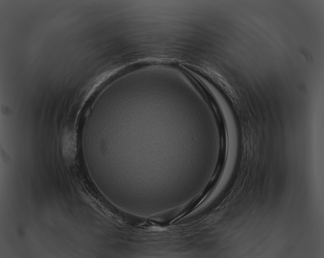 X0000090990484200708021526
