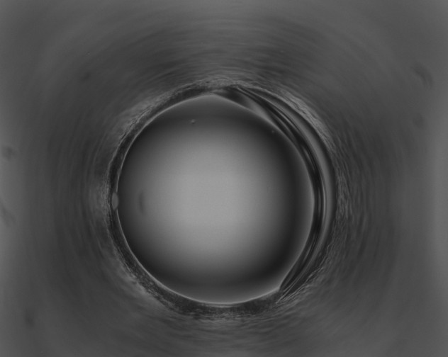 X0000090990485200708021526
