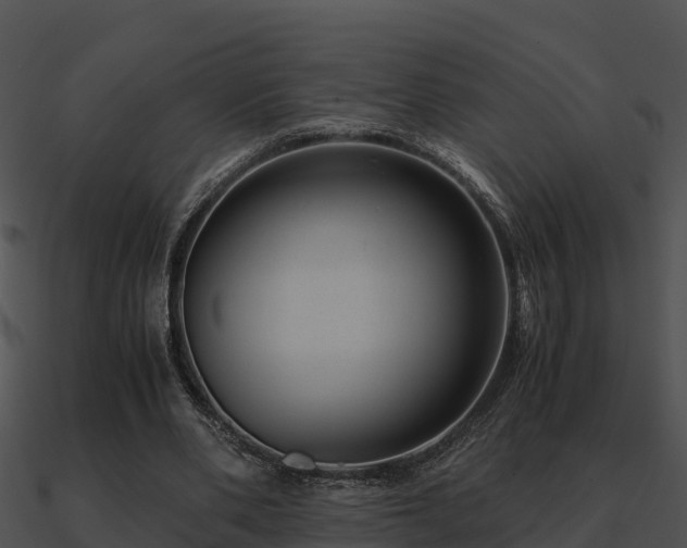 X0000090990486200708021526