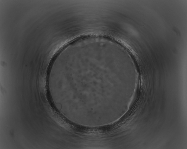 X0000090990487200708021526