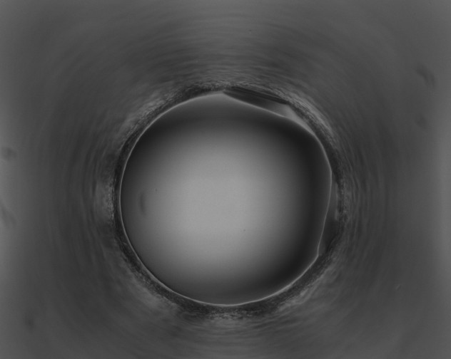 X0000090990489200708021526