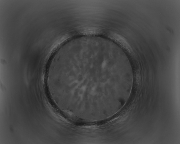 X0000090990491200708021526