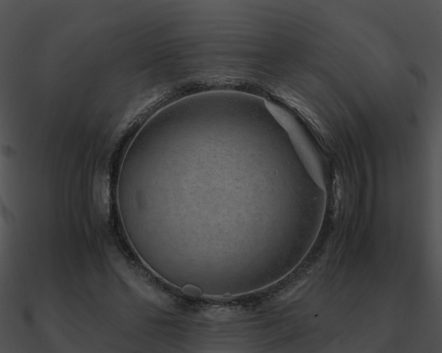 X0000090990494200708021526