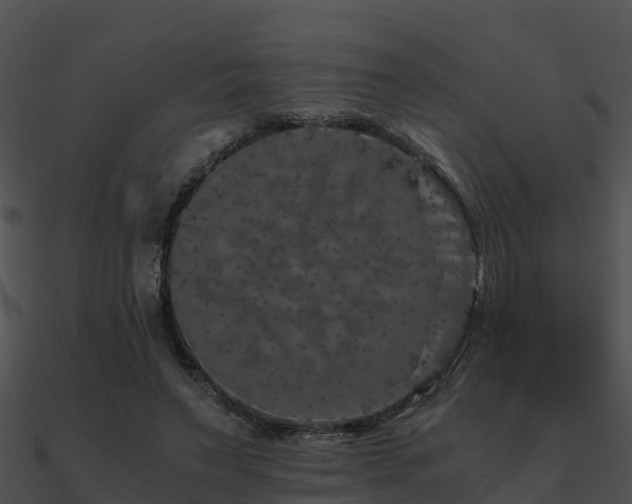 X0000090990495200708021526