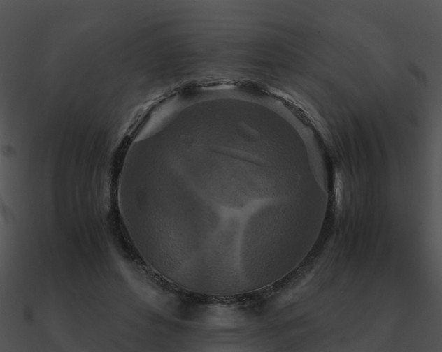 X0000090990496200708021526