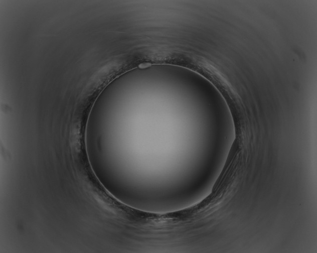 X0000090990497200708021526