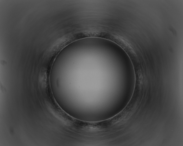 X0000090990498200708021526