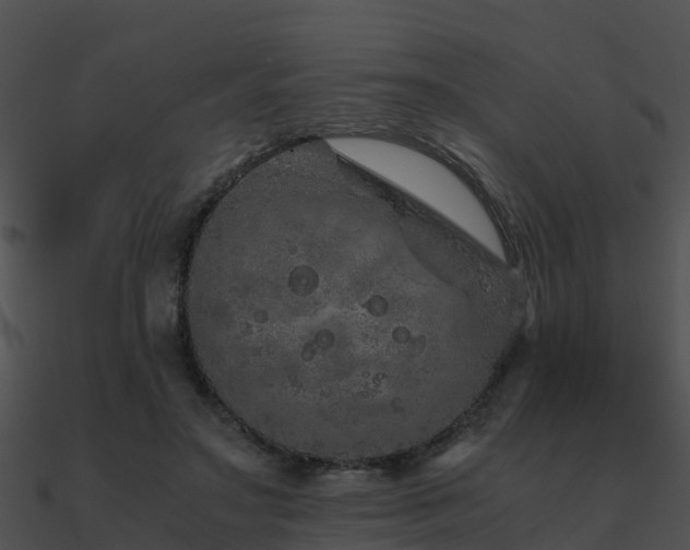 X0000090990499200708021526