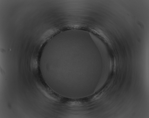 X0000090990500200708021526