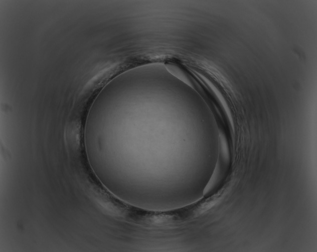 X0000090990501200708021526