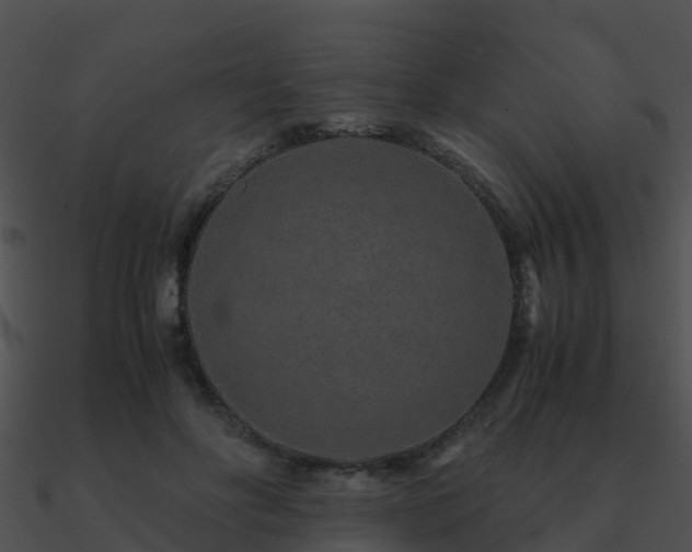 X0000090990502200708021526