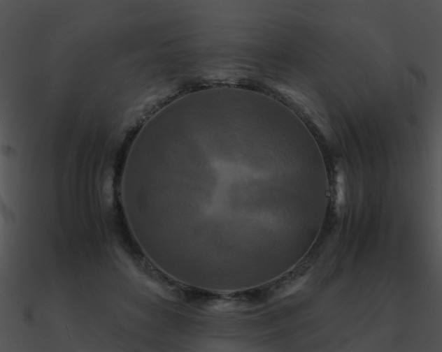 X0000090990504200708021526