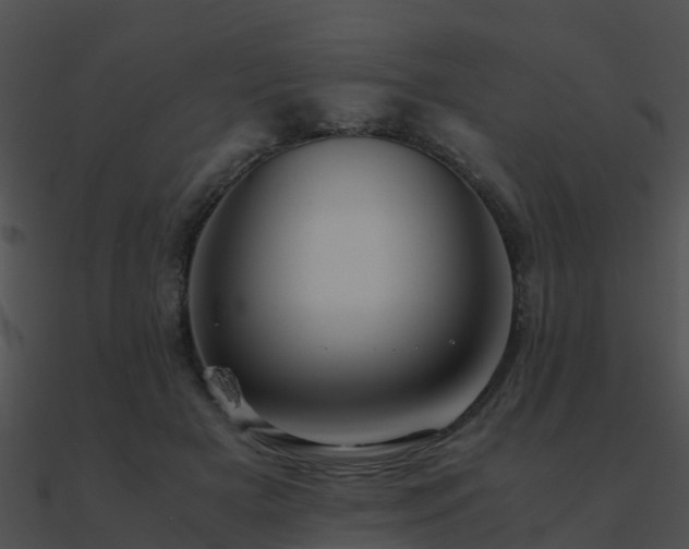 X0000090990505200708021526