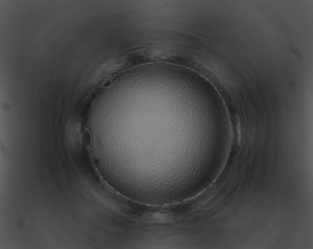 X0000090990506200708021525