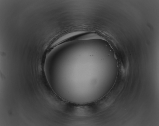 X0000090990508200708021525