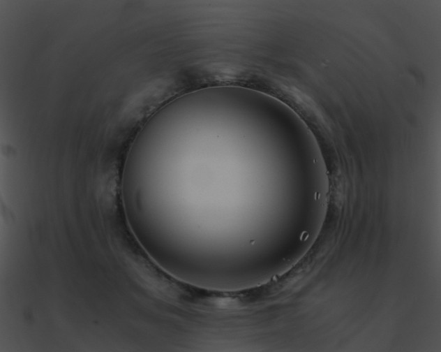 X0000090990509200708021525