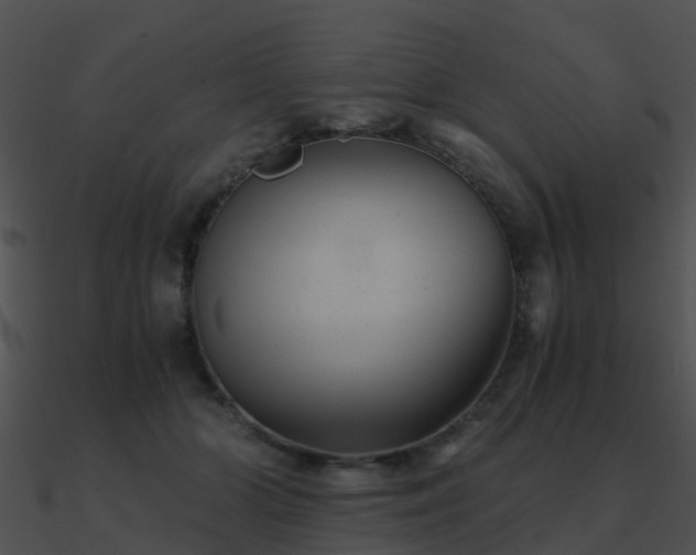 X0000090990510200708021525
