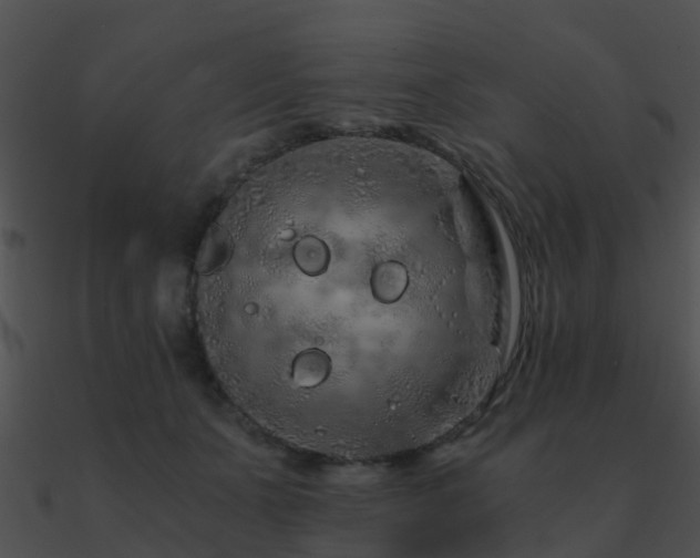 X0000090990511200708021525