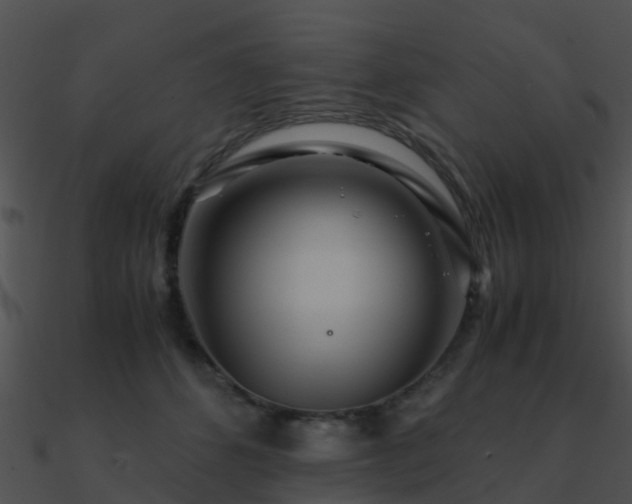 X0000090990512200708021525