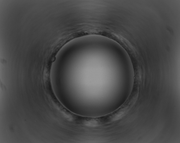 X0000090990513200708021525