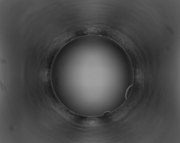 X0000090990514200708021525