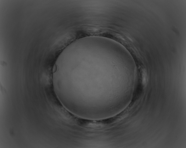 X0000090990515200708021525