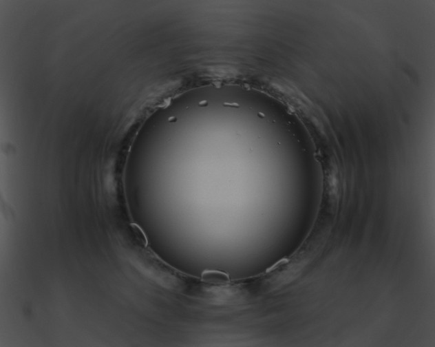 X0000090990516200708021525